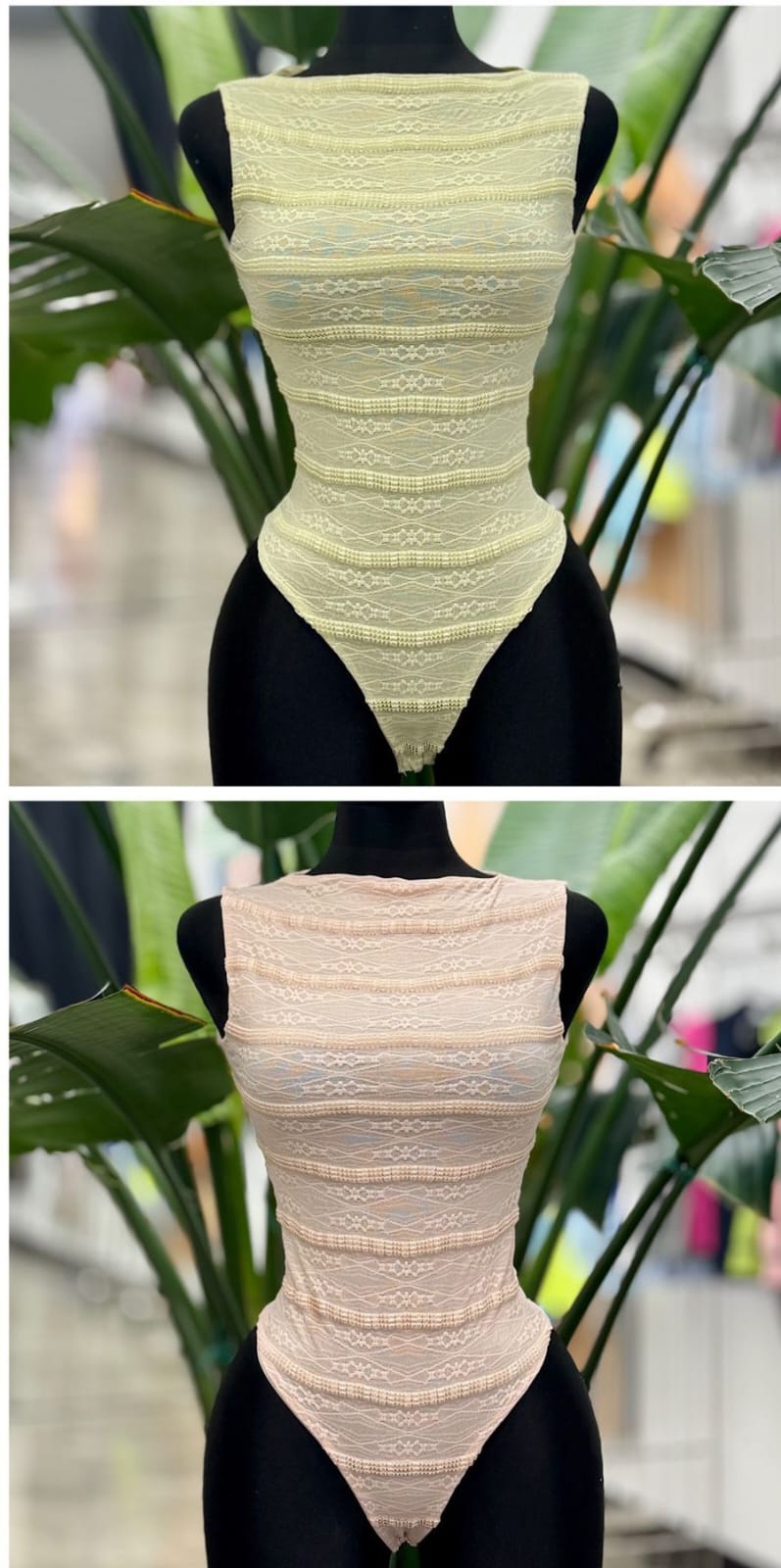 Pastel Lace Bodysuit